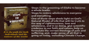 Steps To Wholeness banner